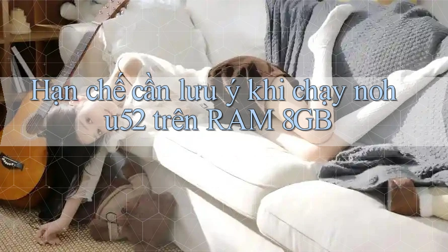 Hạn chế cần lưu ý khi chạy nohu52 trên RAM 8GB
