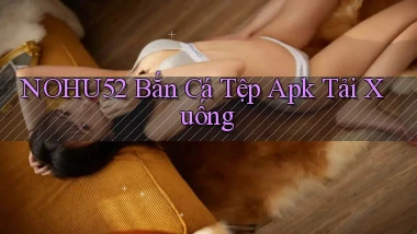 nohu52  bắn cá tệp apk tải xuống