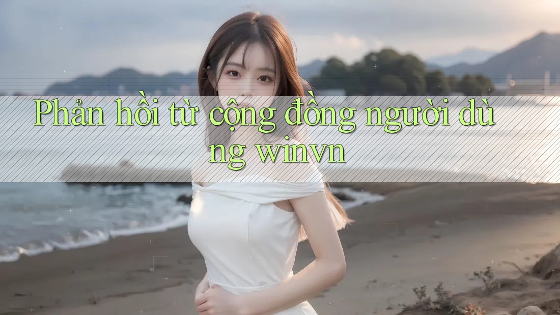 Phản hồi từ cộng đồng người dùng Winvn