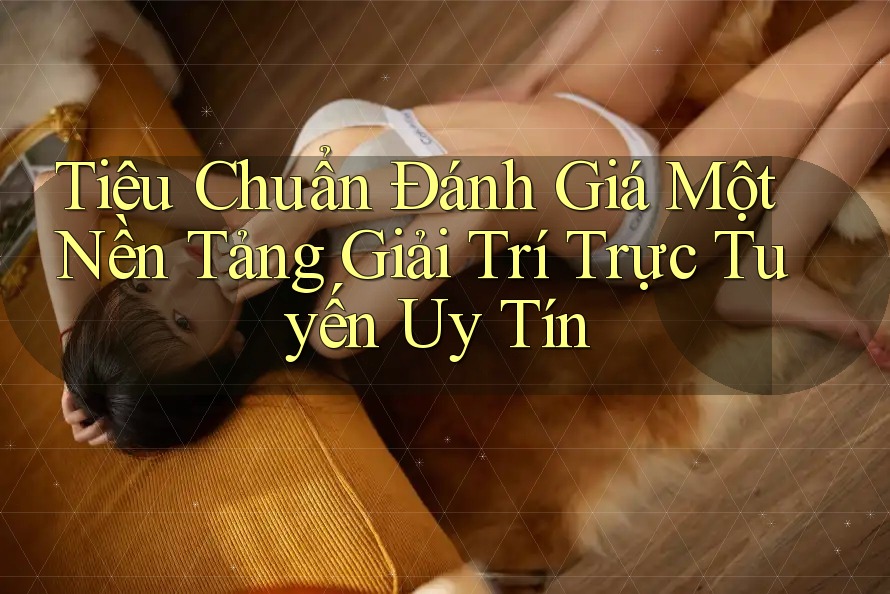 Tiêu Chuẩn Đánh Giá Một Nền Tảng Giải Trí Trực Tuyến Uy Tín Tiêu Chuẩn Đánh Giá Một Nền Tảng Giải Trí Trực Tuyến Uy Tín