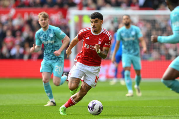 辽粤两队的 辽粤两队的