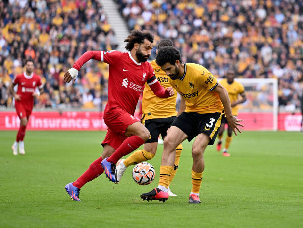 他的战术灵 他的战术灵